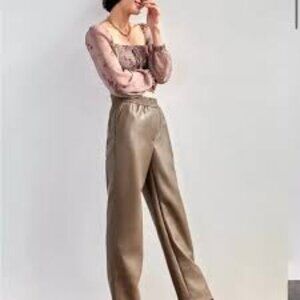 NWT Aritzia Wilfred Free Valerie Shitake Faux Leather Pants Size 6